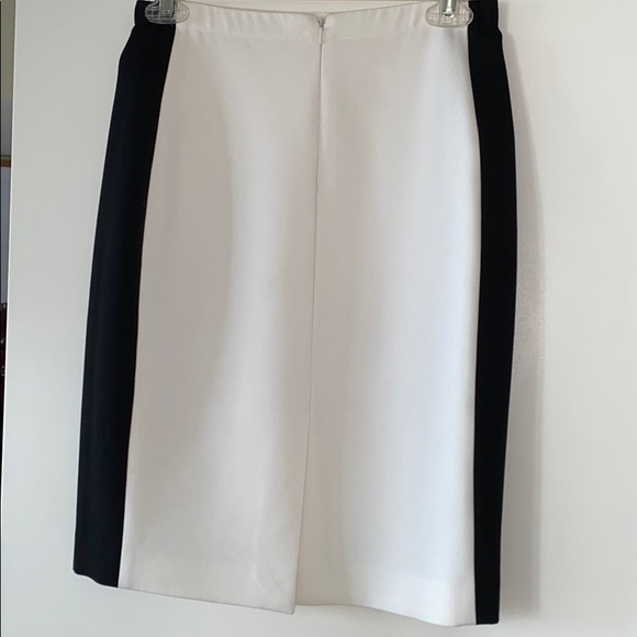 BABATON pencil skirt from Aritzia - Picture 2 of 3